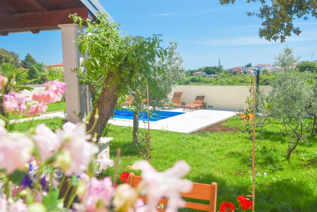 Holiday Home - Istrian Dream With Swimming Pool Peroj Exterior foto